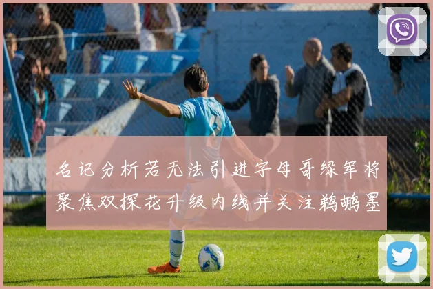 名记分析若无法引进字母哥绿军将聚焦双探花升级内线并关注鹈鹕墨菲